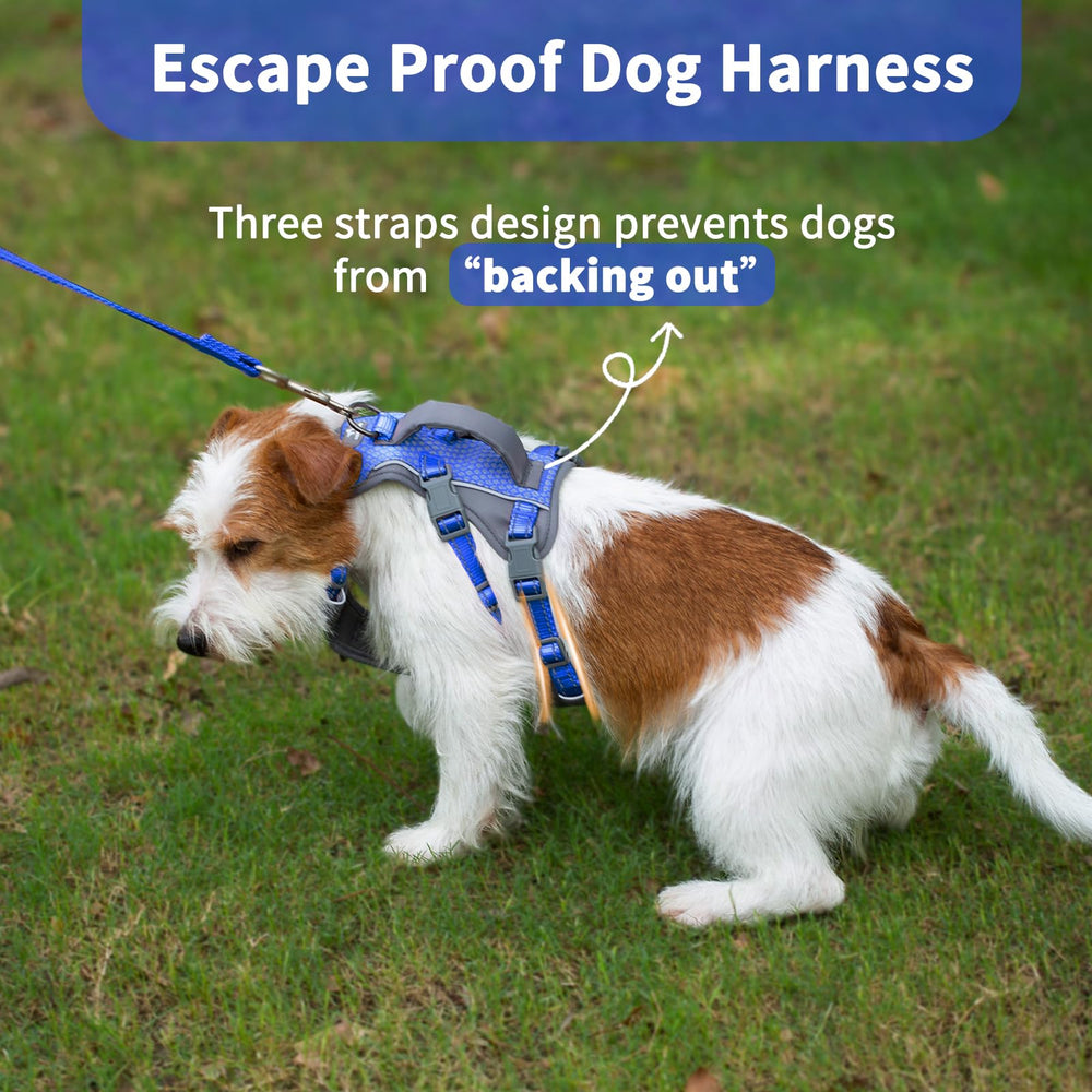 Huntboo escape-proof chest and belly straps prevent escapes during busy outings