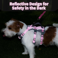 Huntboo escape-proof dog harness with chest and belly straps to prevent escapes during adventures