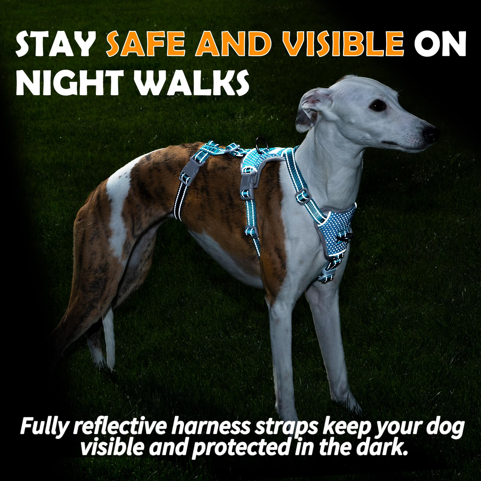 Huntboo teal xl three-strap setup image highlights versatile fit and secure buckles