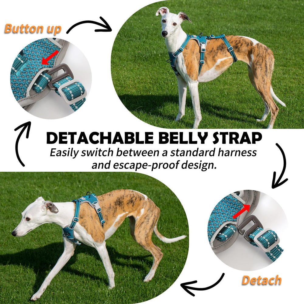 Huntboo teal xl back view demonstrates secure escape resistant design during outdoor adventures