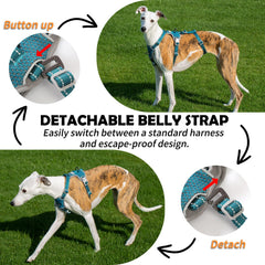 Huntboo teal xl back view demonstrates secure escape resistant design during outdoor adventures