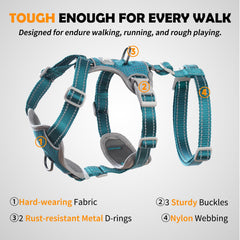 Huntboo harness reflective fabric emphasizes high visibility for safe nighttime strolls