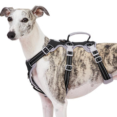 Huntboo escape-proof harness enhances secure control during outdoor adventures