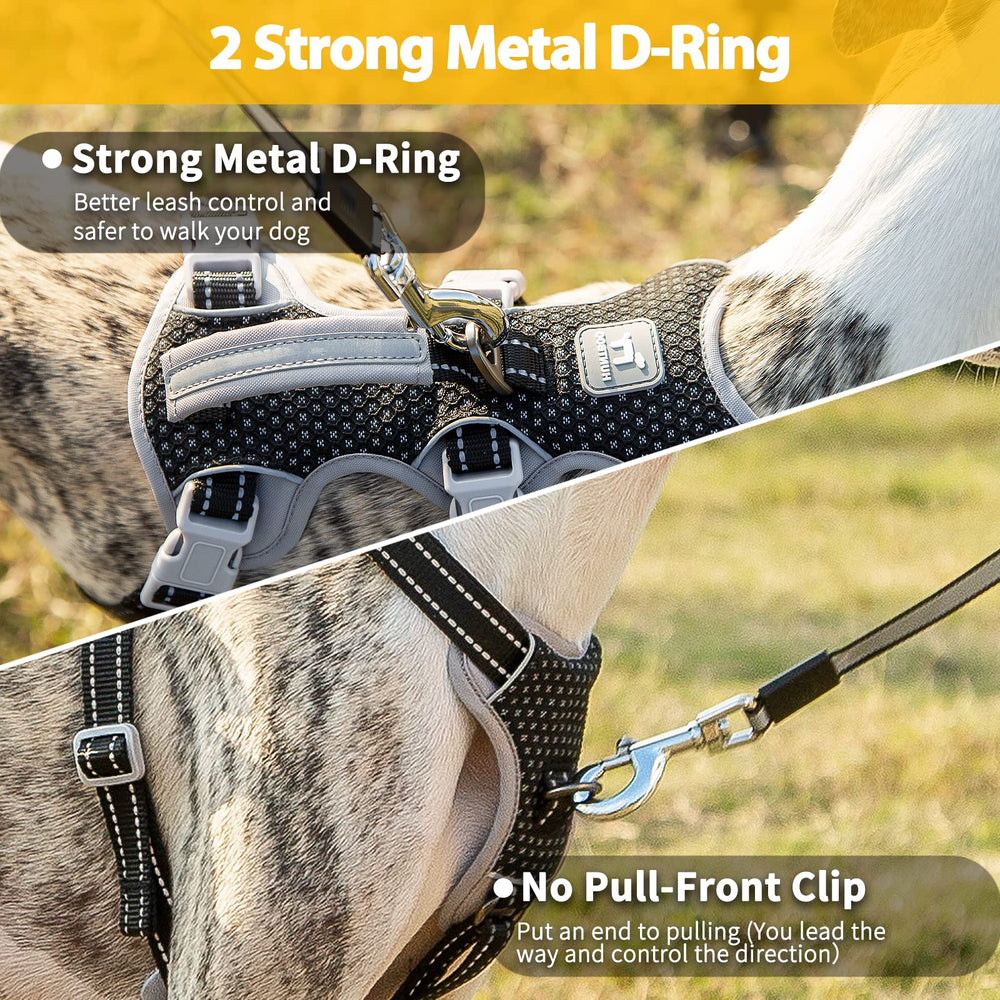 Huntboo Harness with 5-adjustment points provides customizable fit for growing dogs.