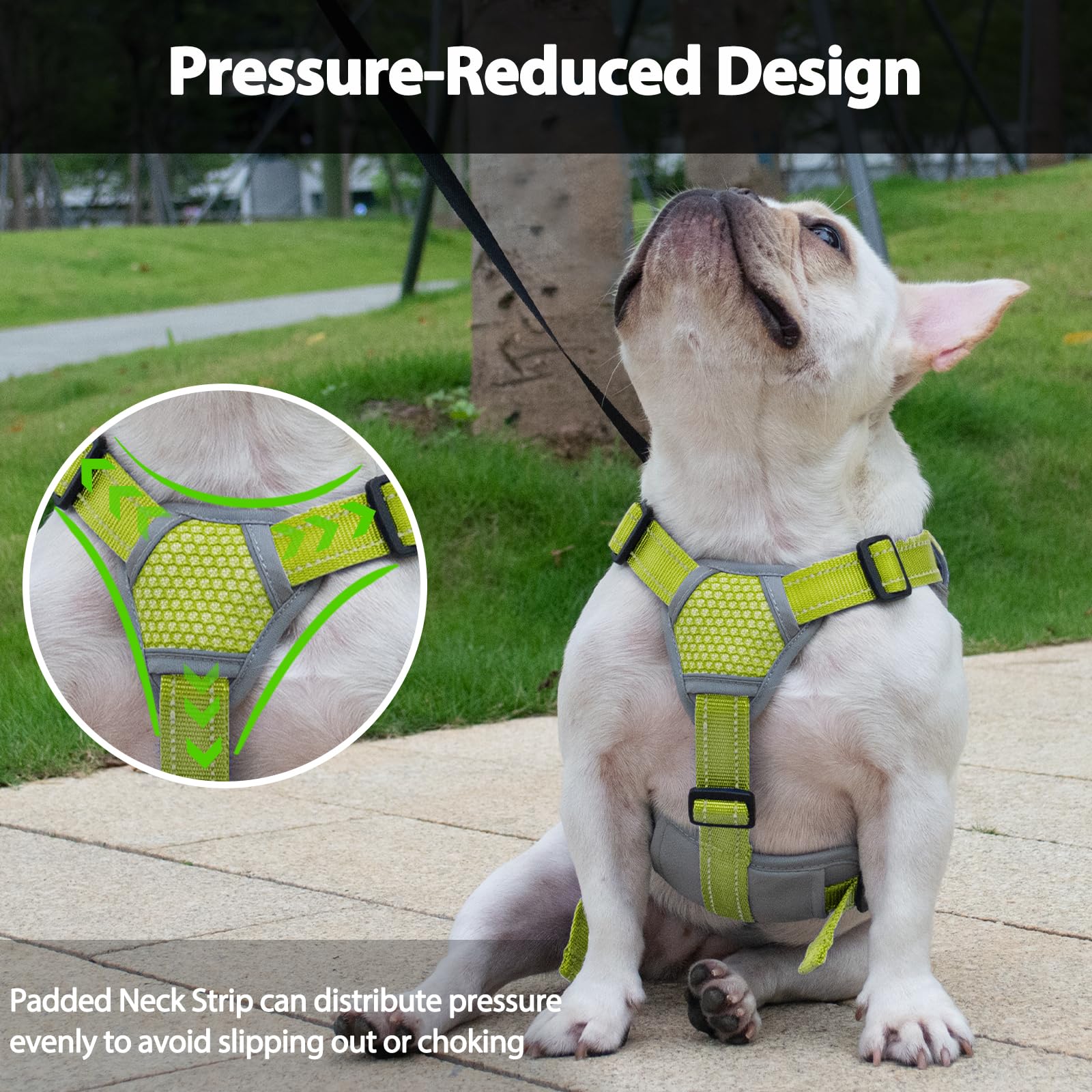 Huntboo escape-proof harness back D-ring for reliable leash control