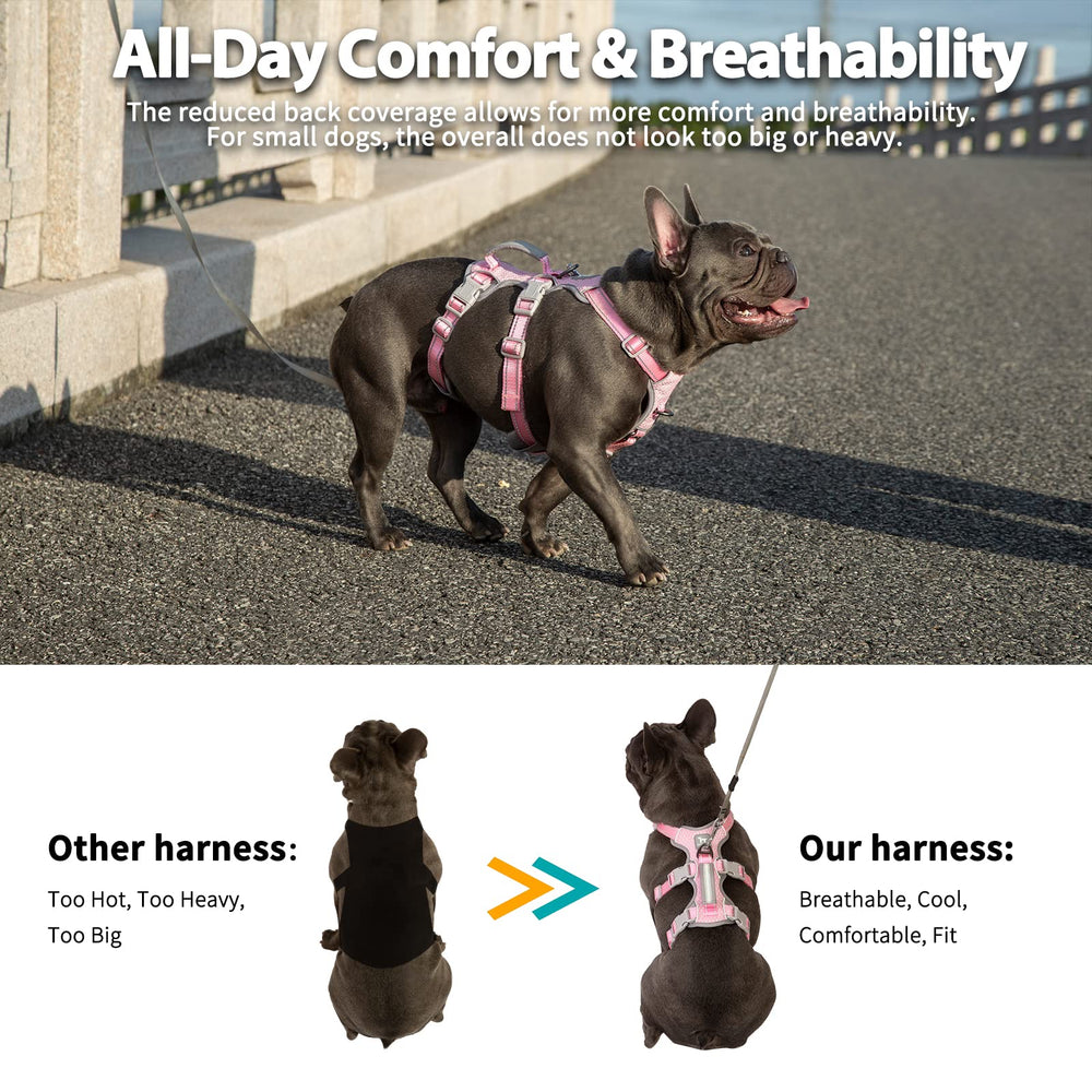 Huntboo Escape Proof Harness breathable-air-mesh ensures all-day comfort.