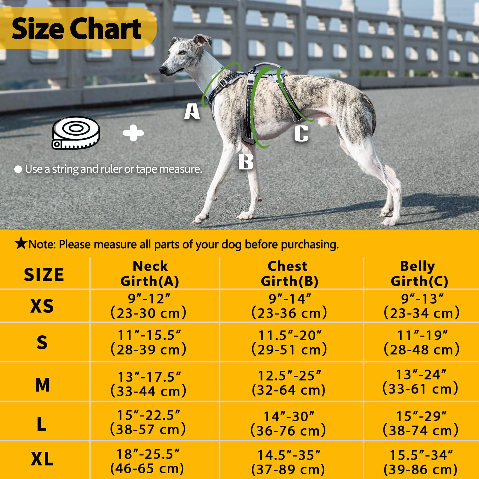 Huntboo Breathable air mesh and soft sponge padding keep dogs comfortable during walks.