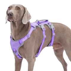 Huntboo Escape Proof Harness front view shows reflective fabric for safer night walks