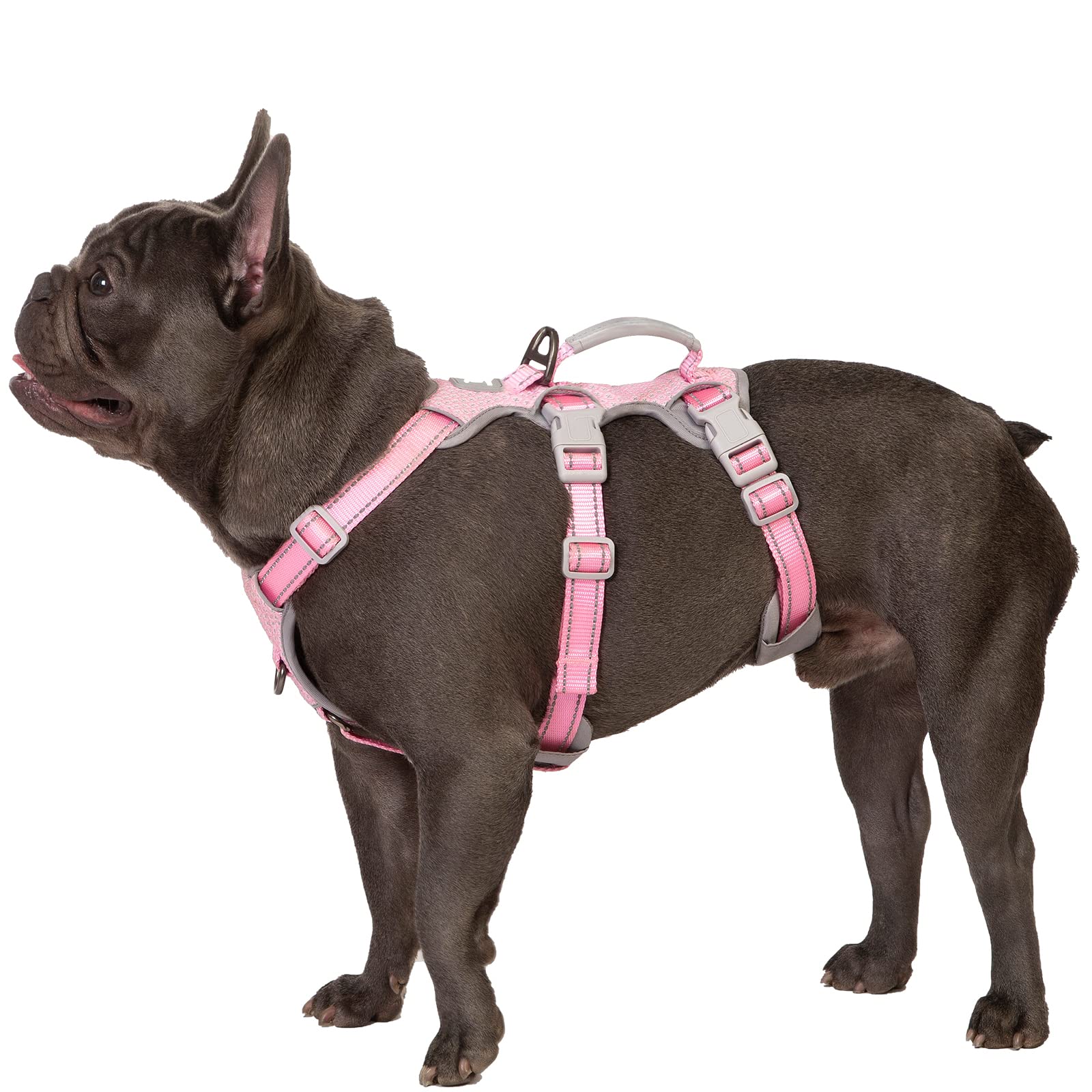 Huntboo Escape Proof Harness pink front view demonstrates a secure, confident-walk design.