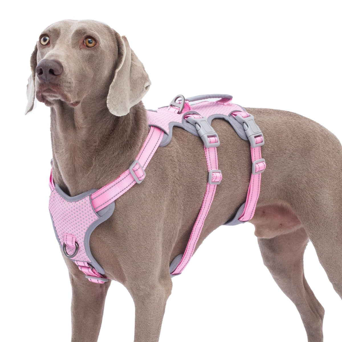 Huntboo escape proof harness with lift handle for secure grip during obstacles