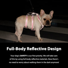 Huntboo Escape Proof Harness reflects as full-body design improves nighttime visibility for dogs.