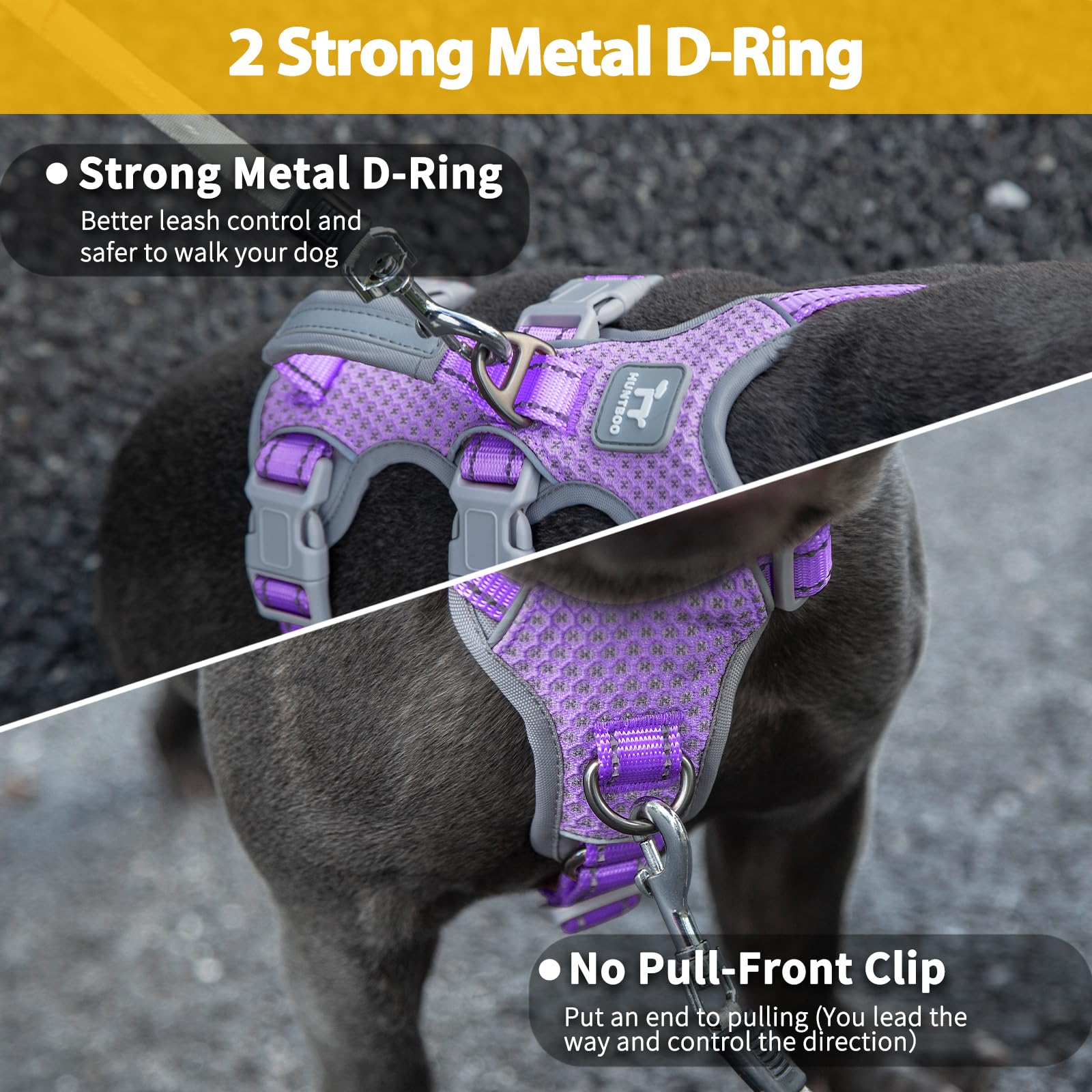 Huntboo Escape Proof Harness side-right shows dual leash clips for versatile control