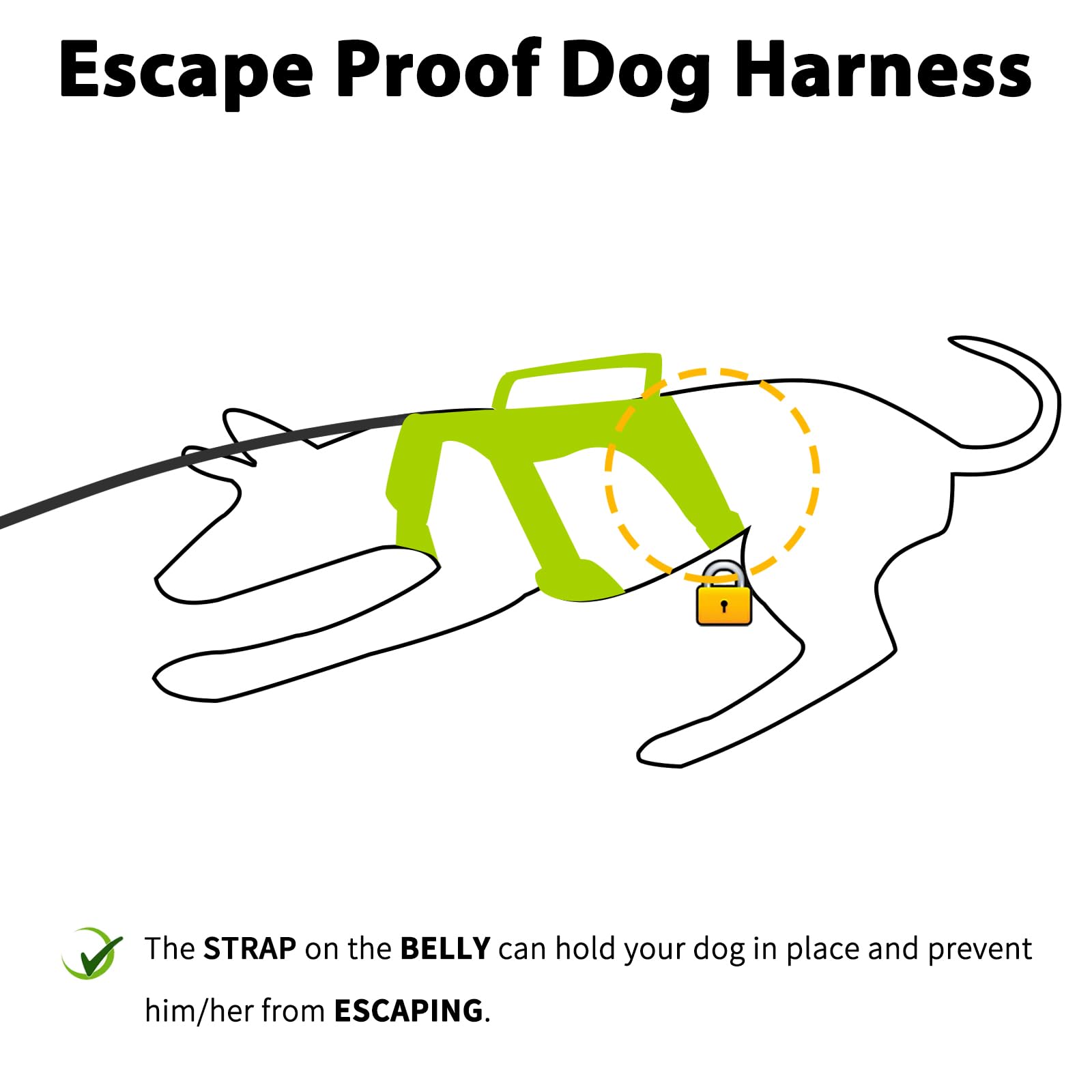 Huntboo escape-proof harness side view showing growth-friendly design