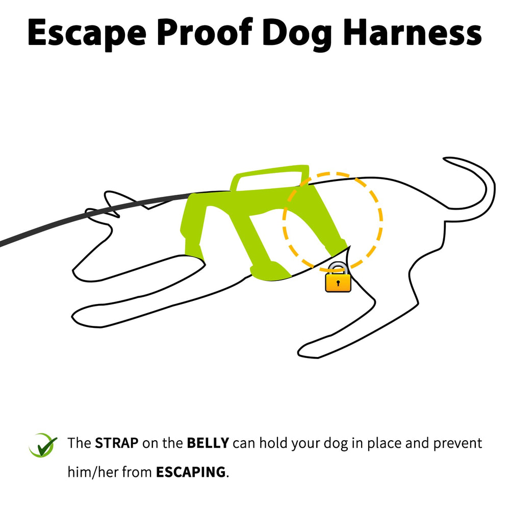 Huntboo escape-proof harness side view showing growth-friendly design