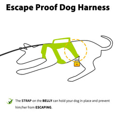 Huntboo escape-proof harness side view showing growth-friendly design