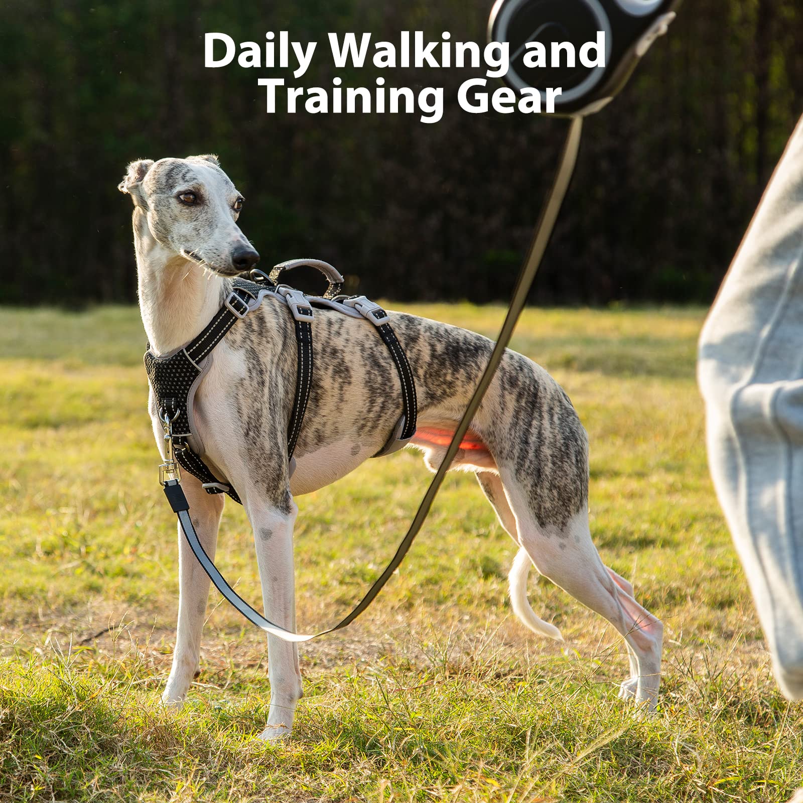 Huntboo five-point adjustable fit adapts as dogs grow