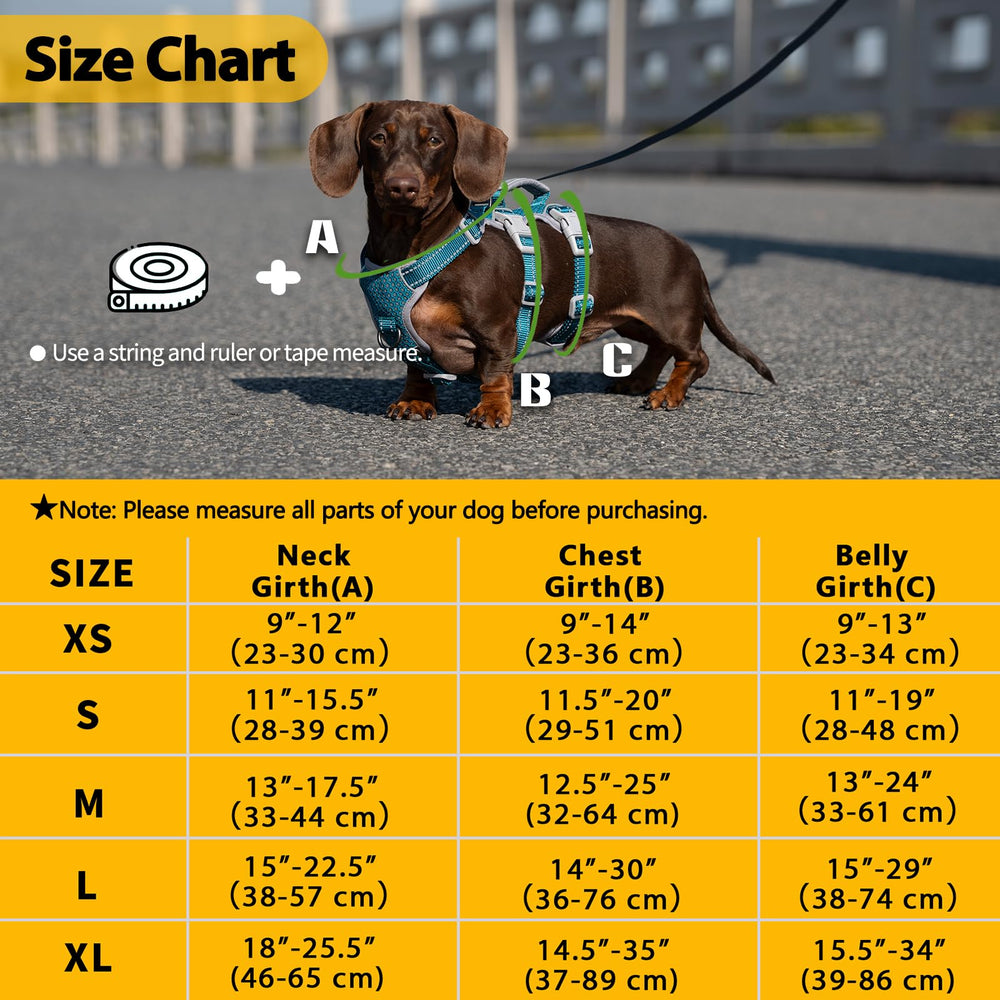 Huntboo No Escape harness back D ring for versatile leash control during walks.