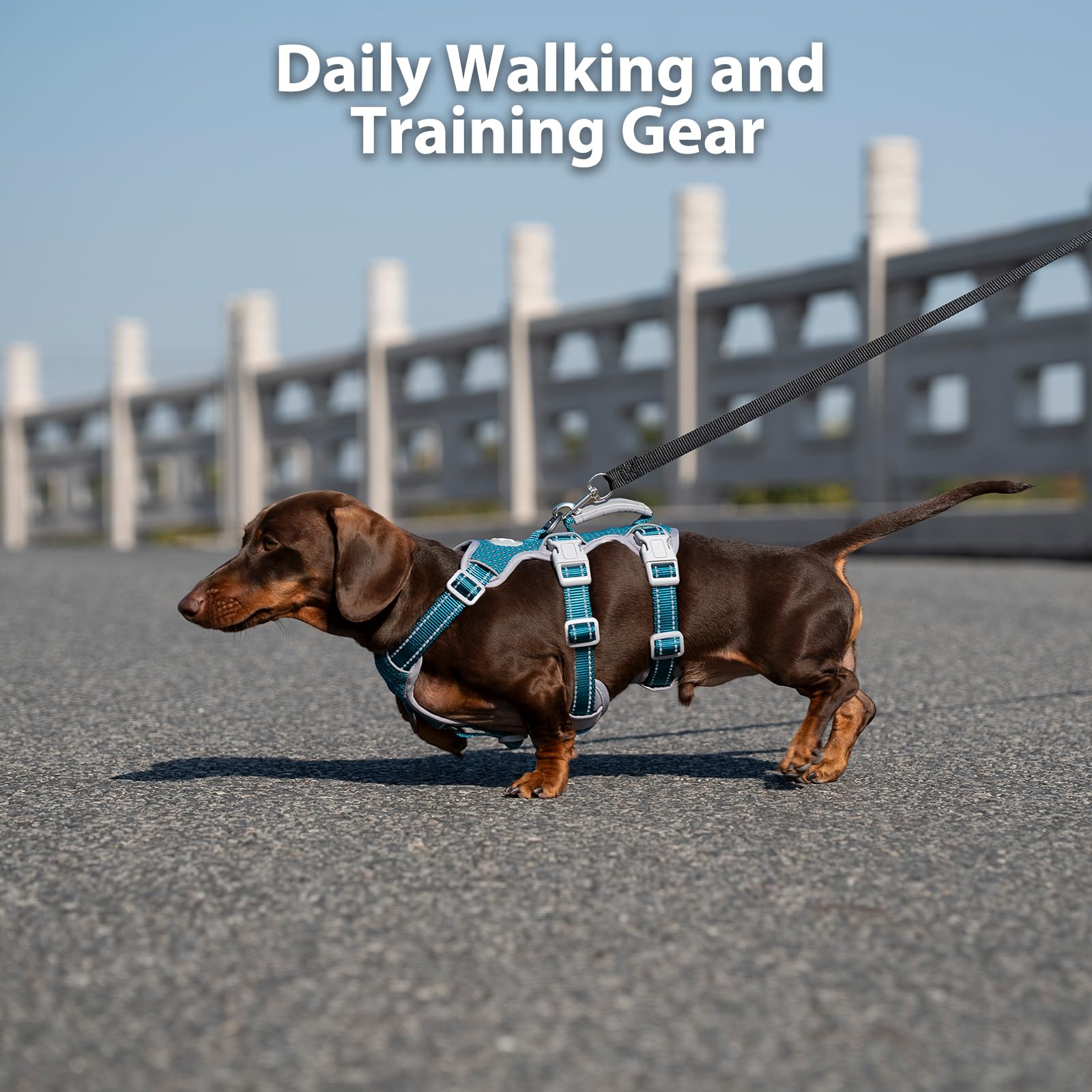 Huntboo No Escape harness breathable air mesh keeps dogs cool during training.
