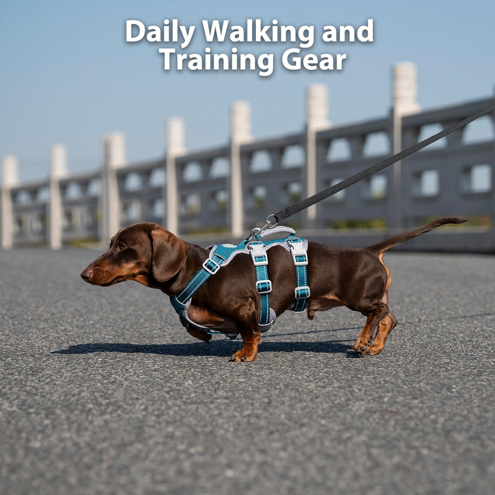 Huntboo No Escape harness breathable air mesh keeps dogs cool during training.