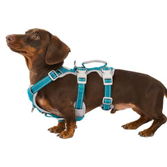 Huntboo No Escape harness left profile view highlighting secure everyday walks.