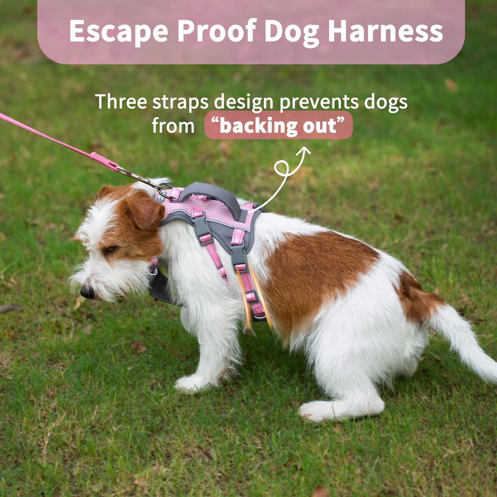 Huntboo reflective back clip on harness for better visibility at night