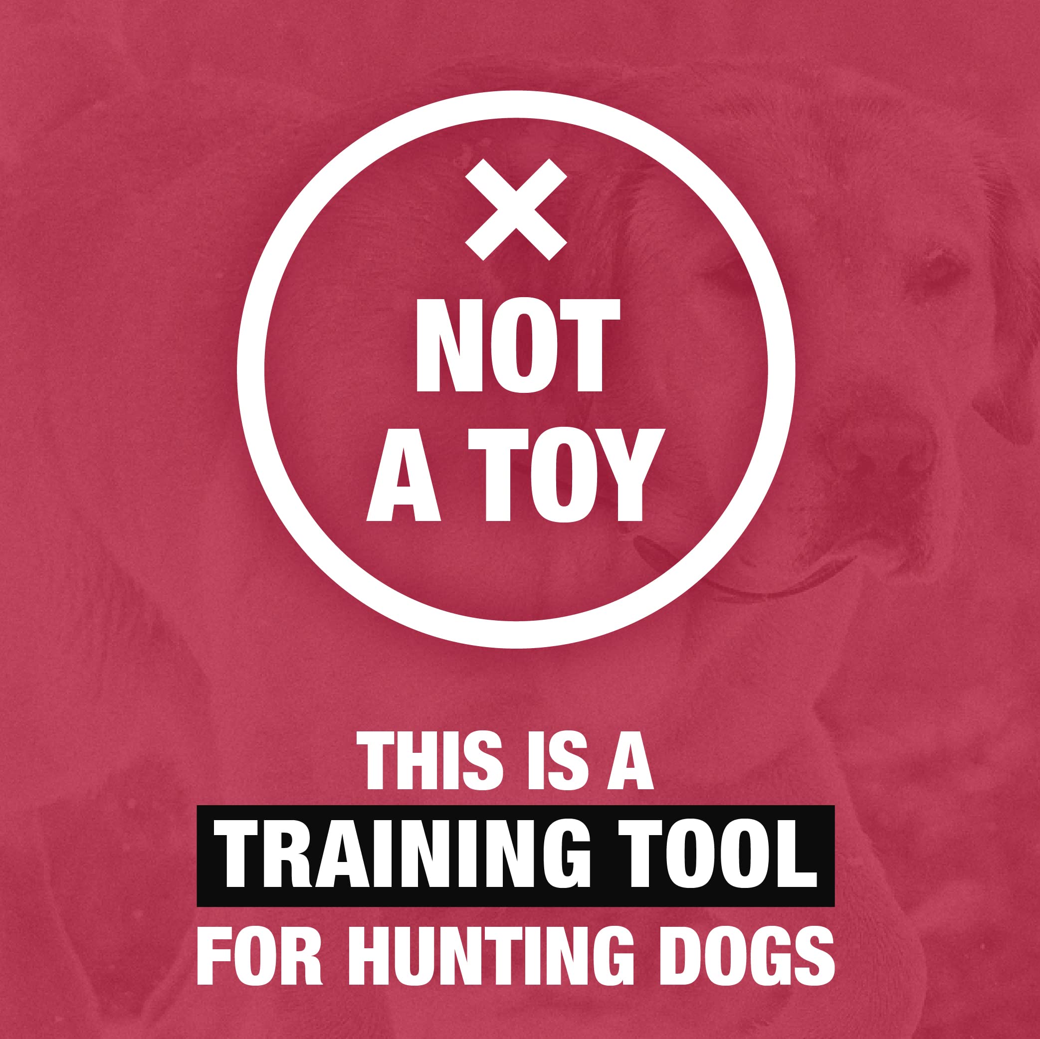 HUNTMARK dog bumpers with 12-inch rope for long-distance retrieves