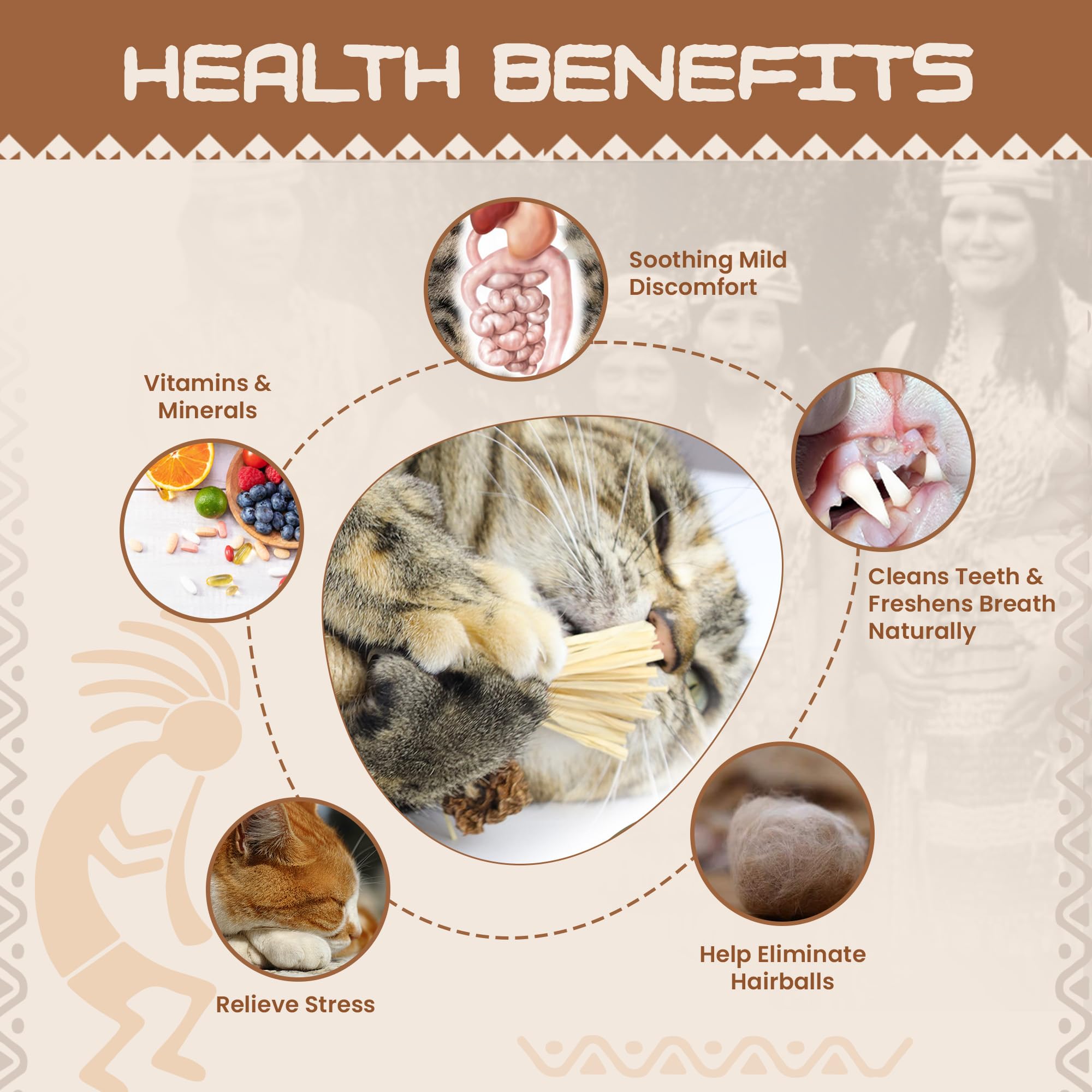 HUPA Catnip Silvervine Sticks dental action closeup highlights teeth-cleaning potential.