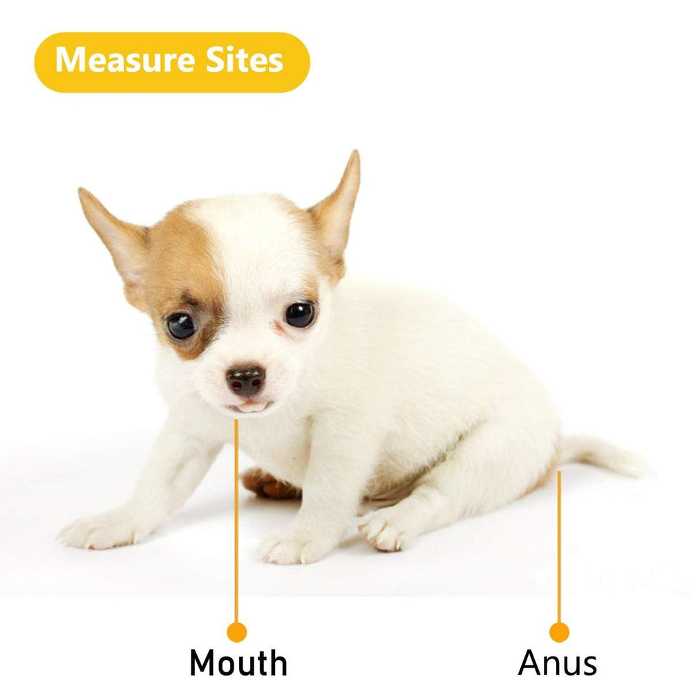 Hurinan rectal thermometer with 3-inch probe reaches small and large pets.
