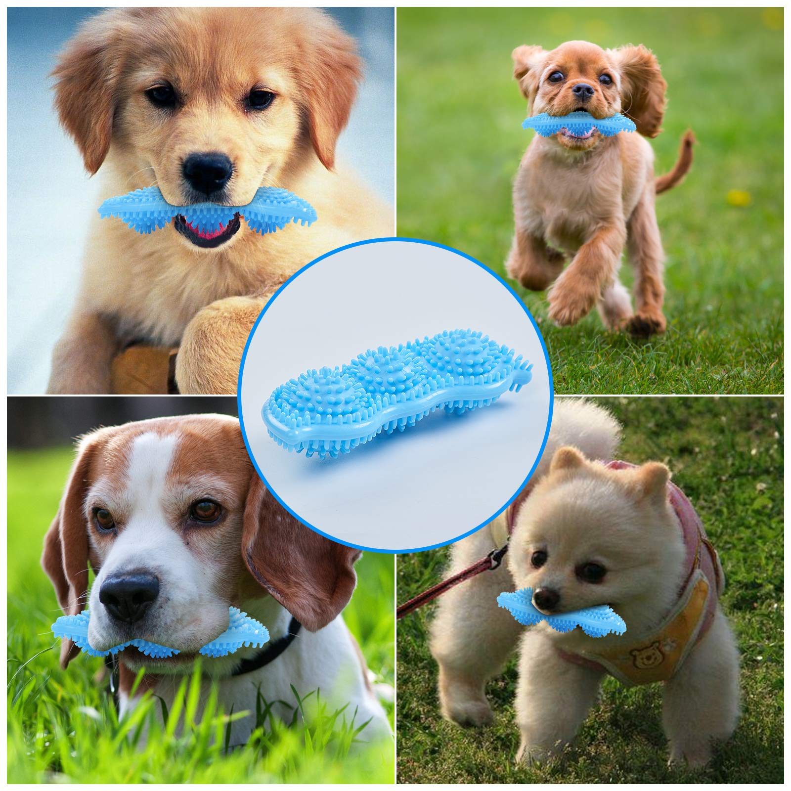 Hurray teething toy with owner interaction boosts engagement.
