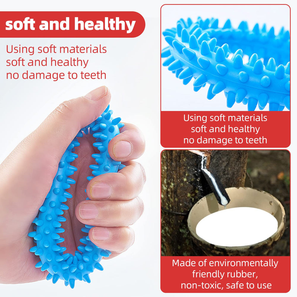 Hurray dog-bonding moment with ring toy emphasizes interactive fun