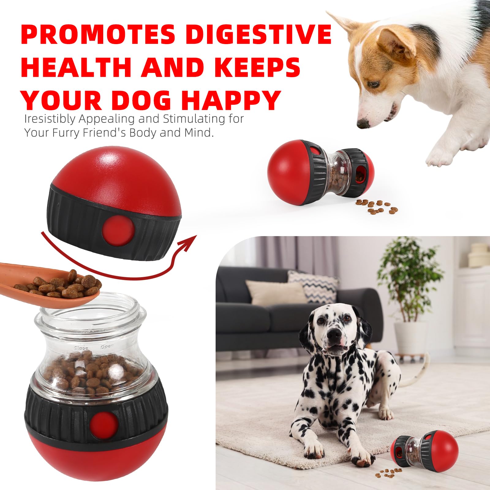 Hurray treat-dispensing-ball in-action showing engaging interaction