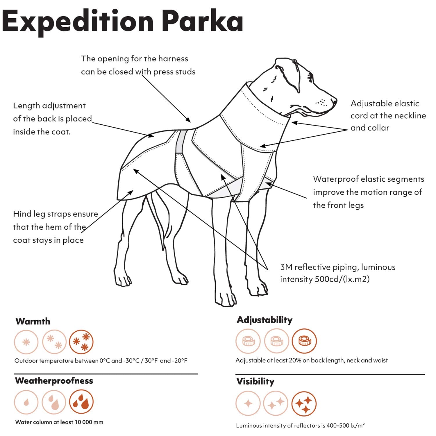 Hurtta Expedition Parka Bilberry back view highlights adjustable length and secure warmth.