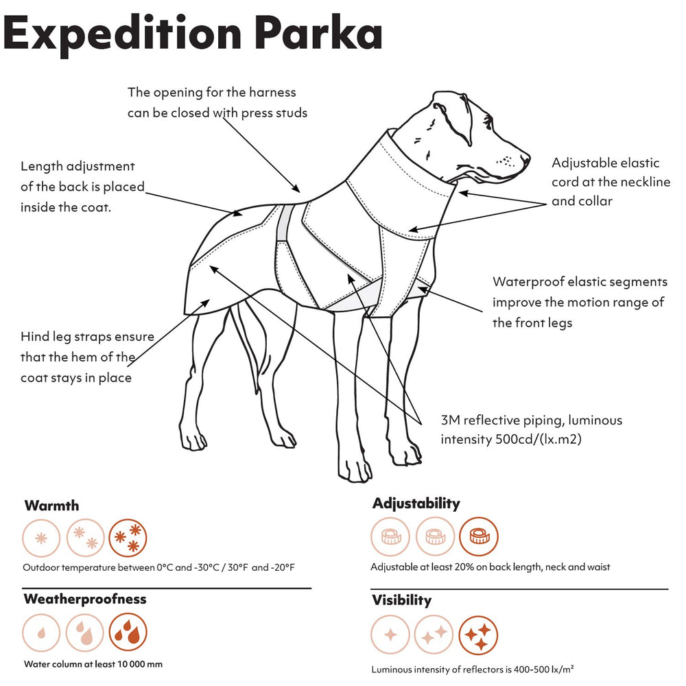 Hurtta Expedition Parka Bilberry back view highlights adjustable length and secure warmth.