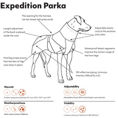 Hurtta Expedition Parka Bilberry back view highlights adjustable length and secure warmth.