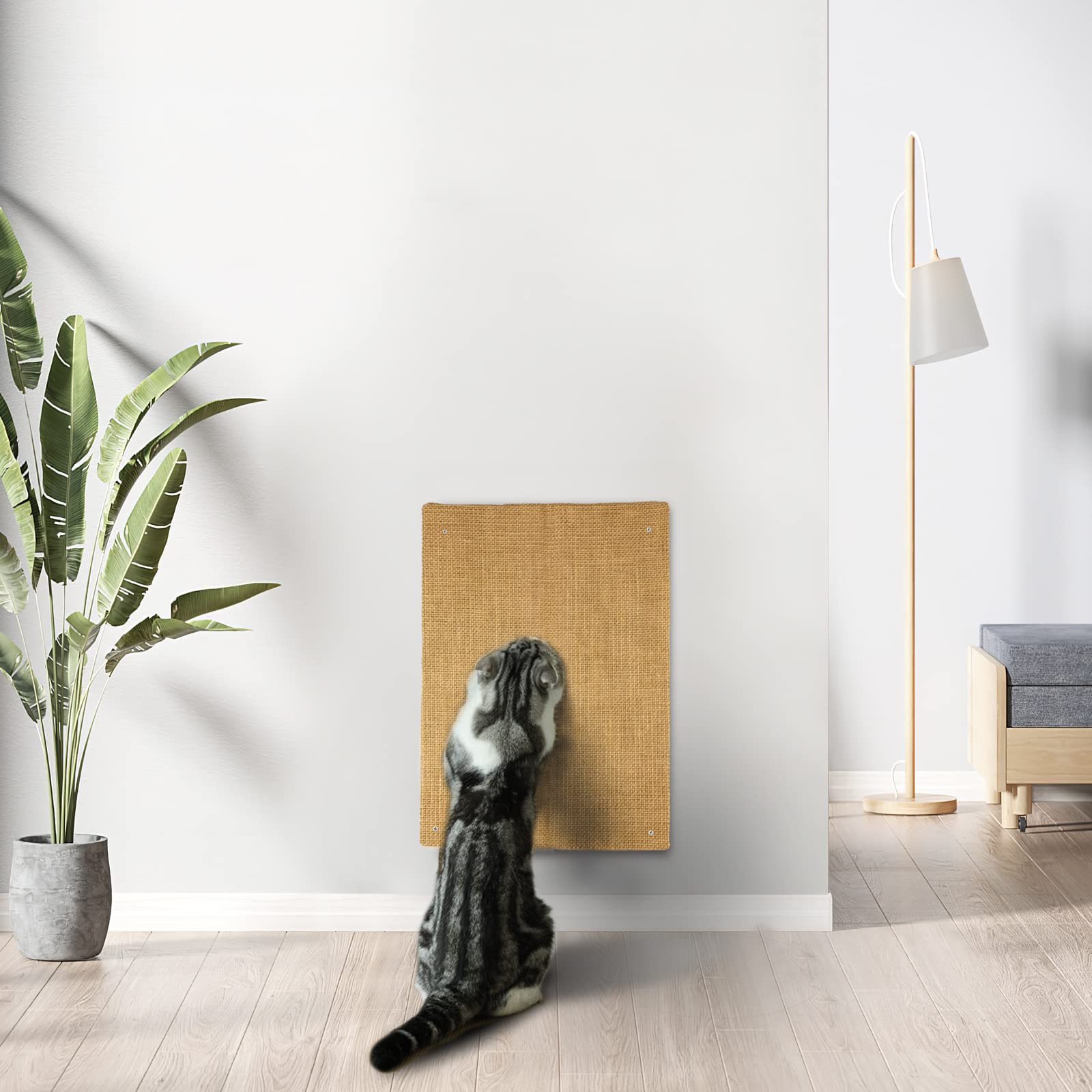Hutpet compact 2-piece pack is easy to store between uses.