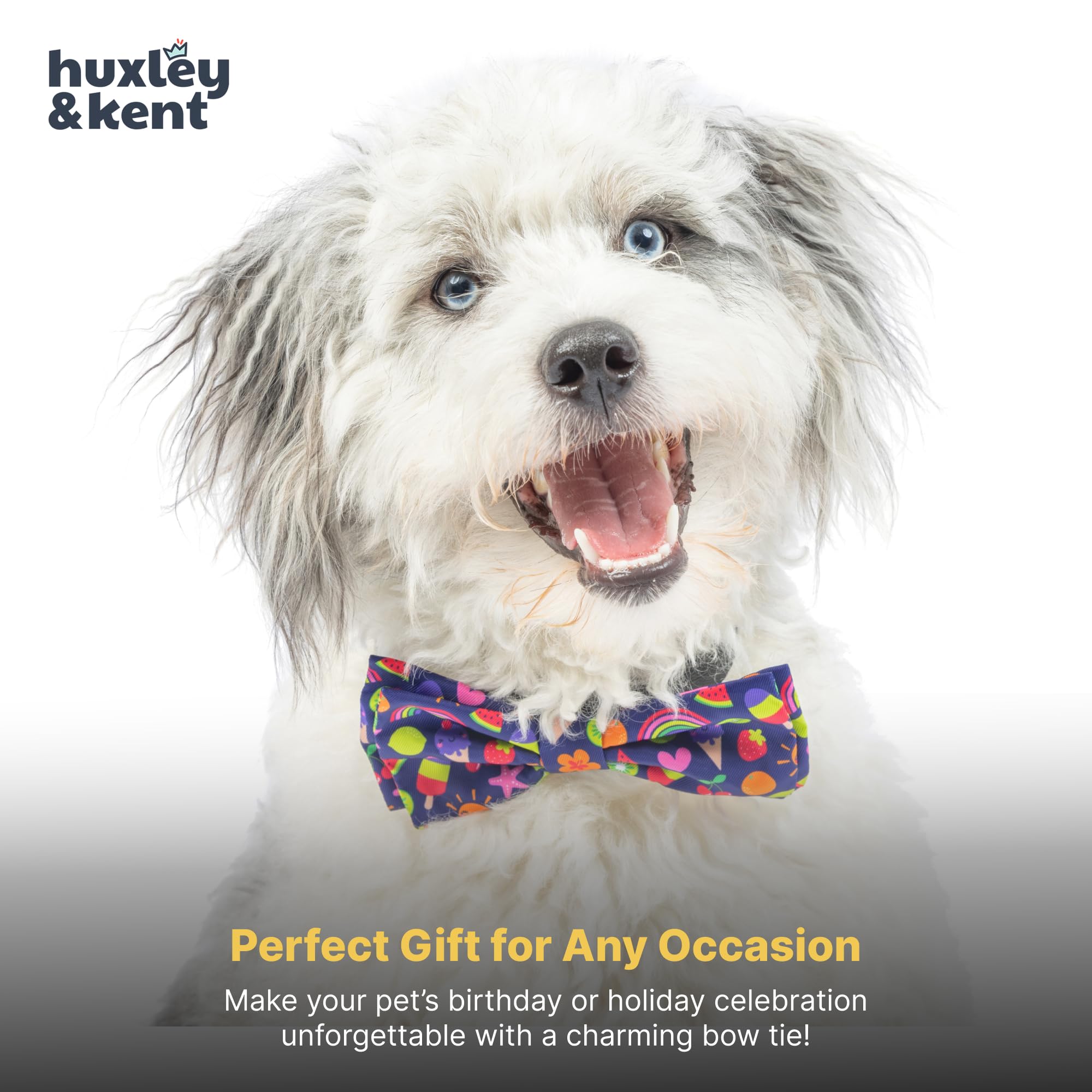 Huxley & Kent adjustable bow tie on collar offers secure fit during playtime.