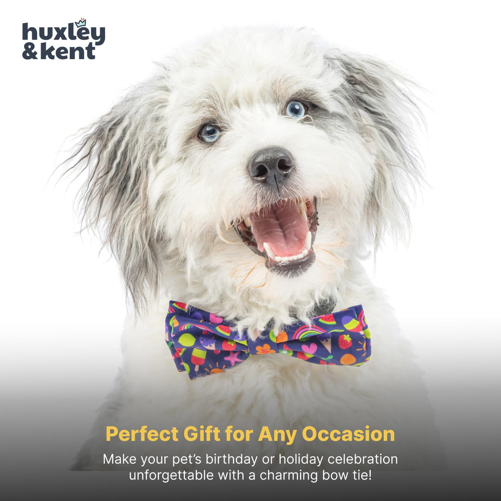 Huxley & Kent adjustable bow tie on collar offers secure fit during playtime.