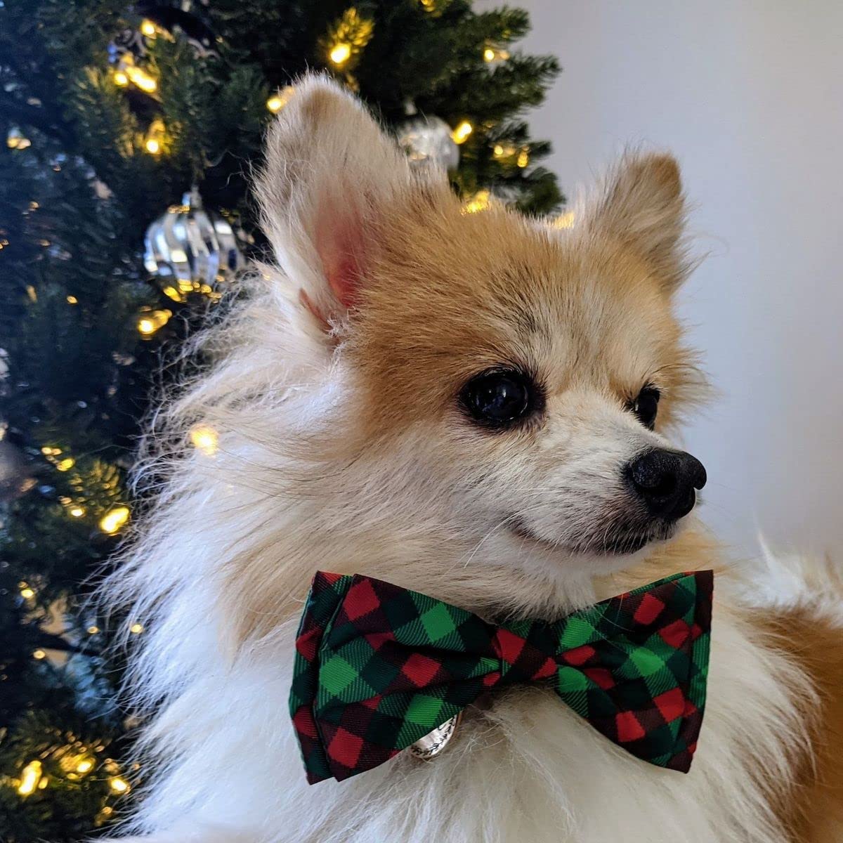 Huxley & Kent Bow Tie dog-cat-wear, lightweight for everyday or special occasions