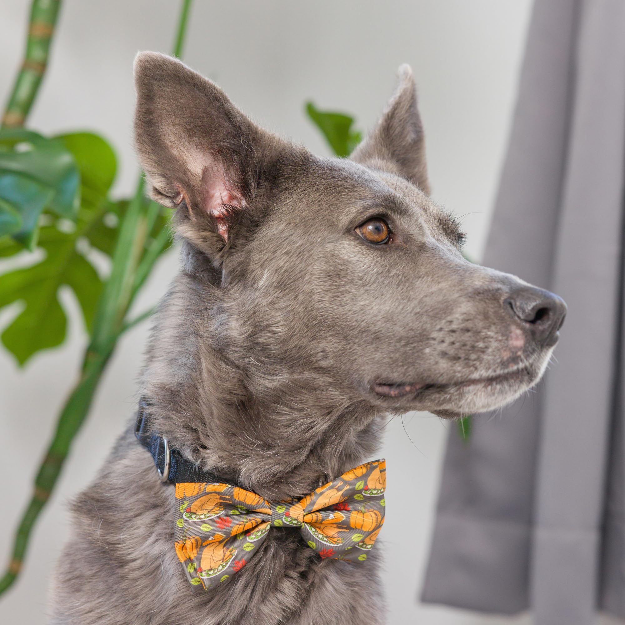 Huxley & Kent bow tie machine-washable and durable for easy care after adventures.