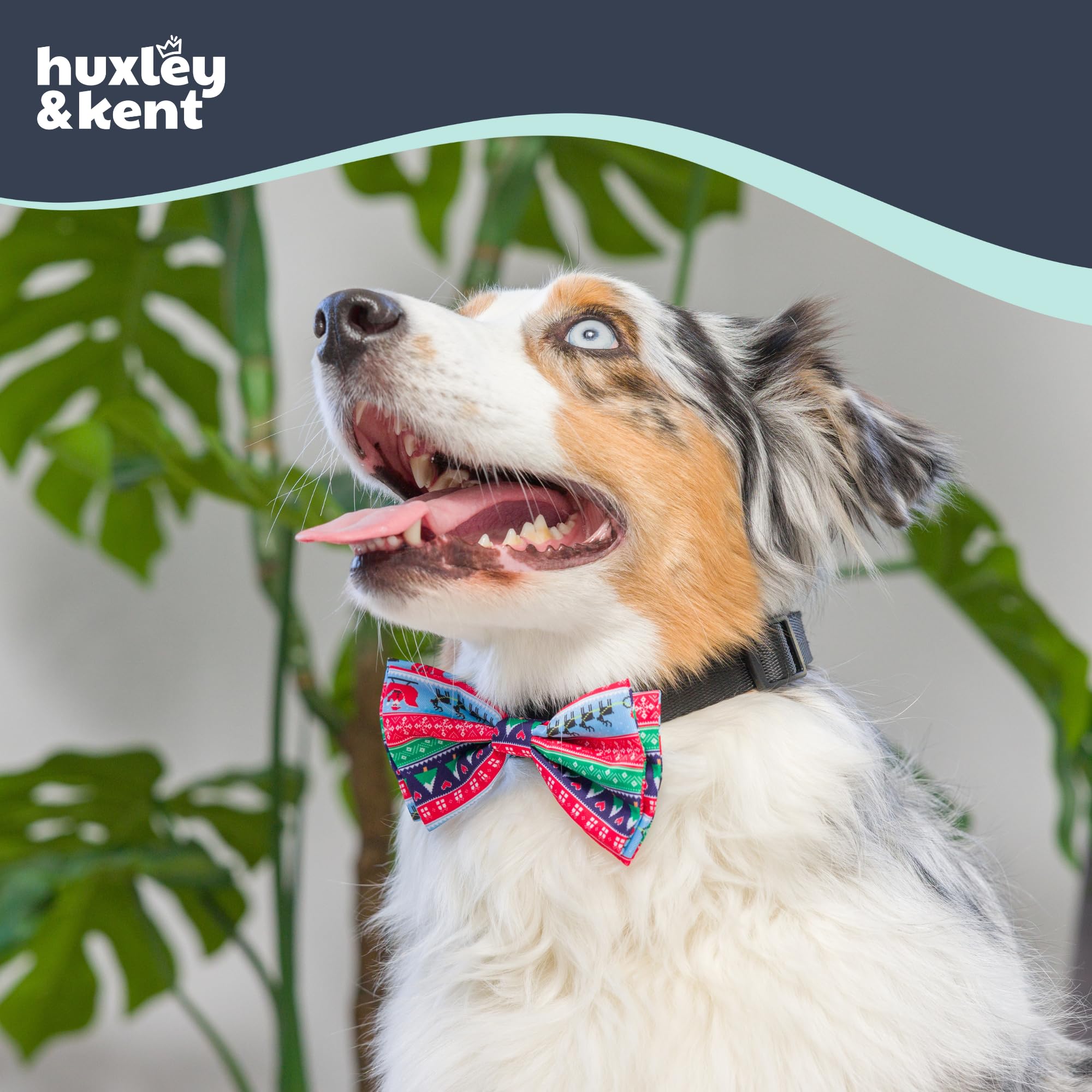 Huxley & Kent seasonal designs offer festive options for photos and events.