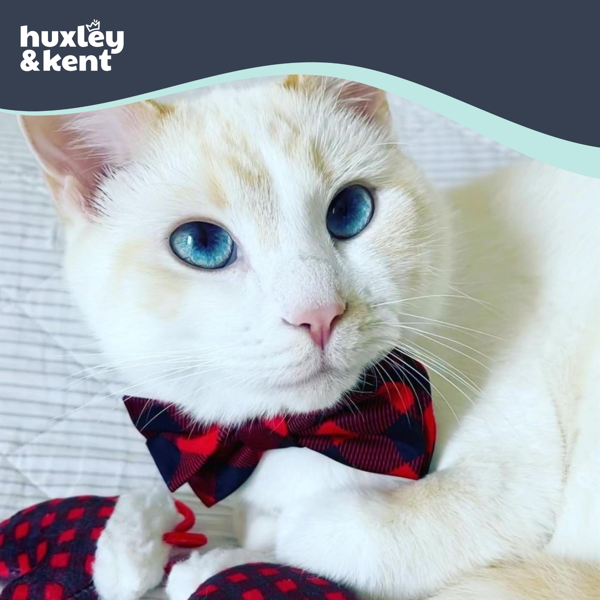 Huxley & Kent soft fabric bow tie emphasizes pet comfort during daily wear