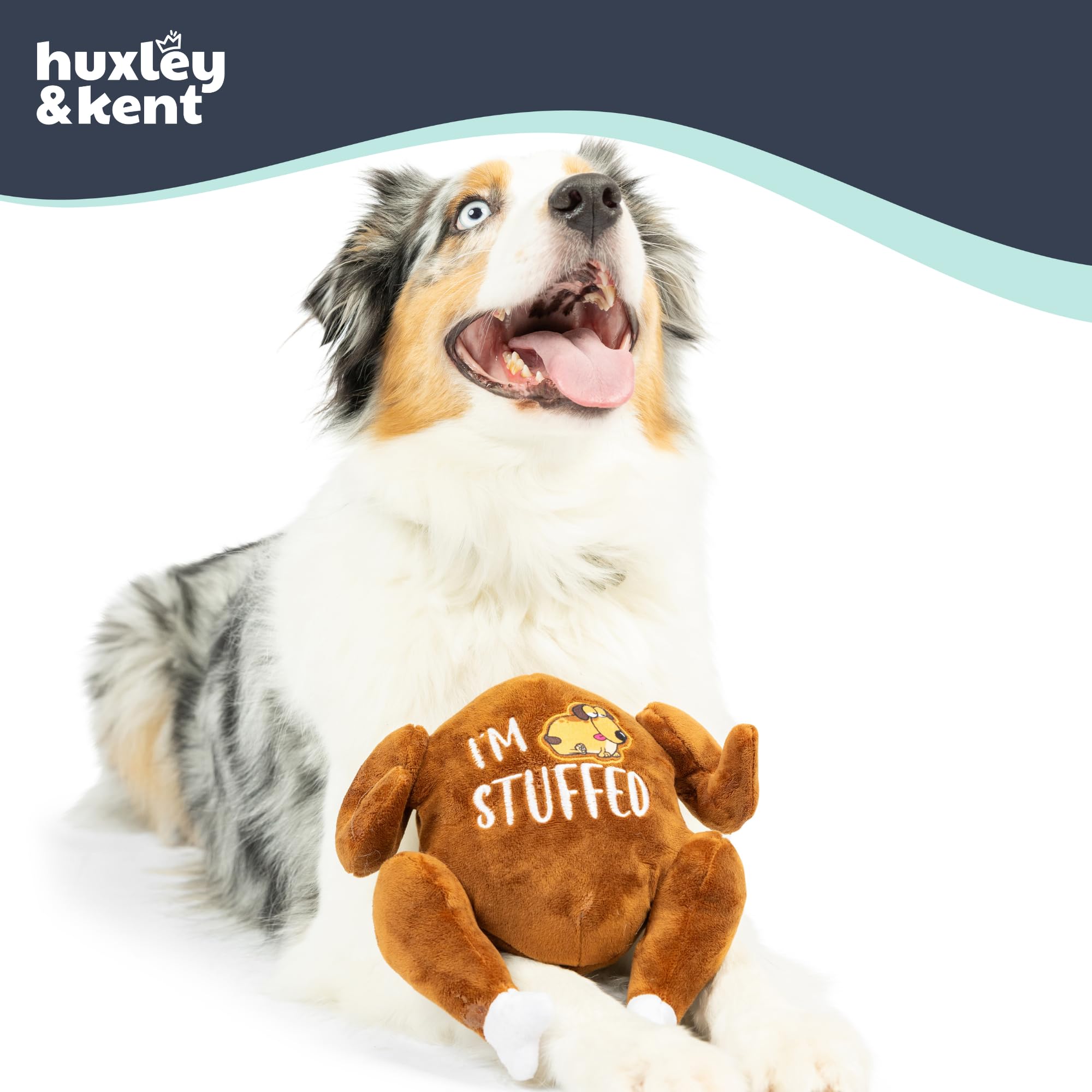 Huxley & Kent interactive dog toy with interior squeaker for engaging solo or joint play