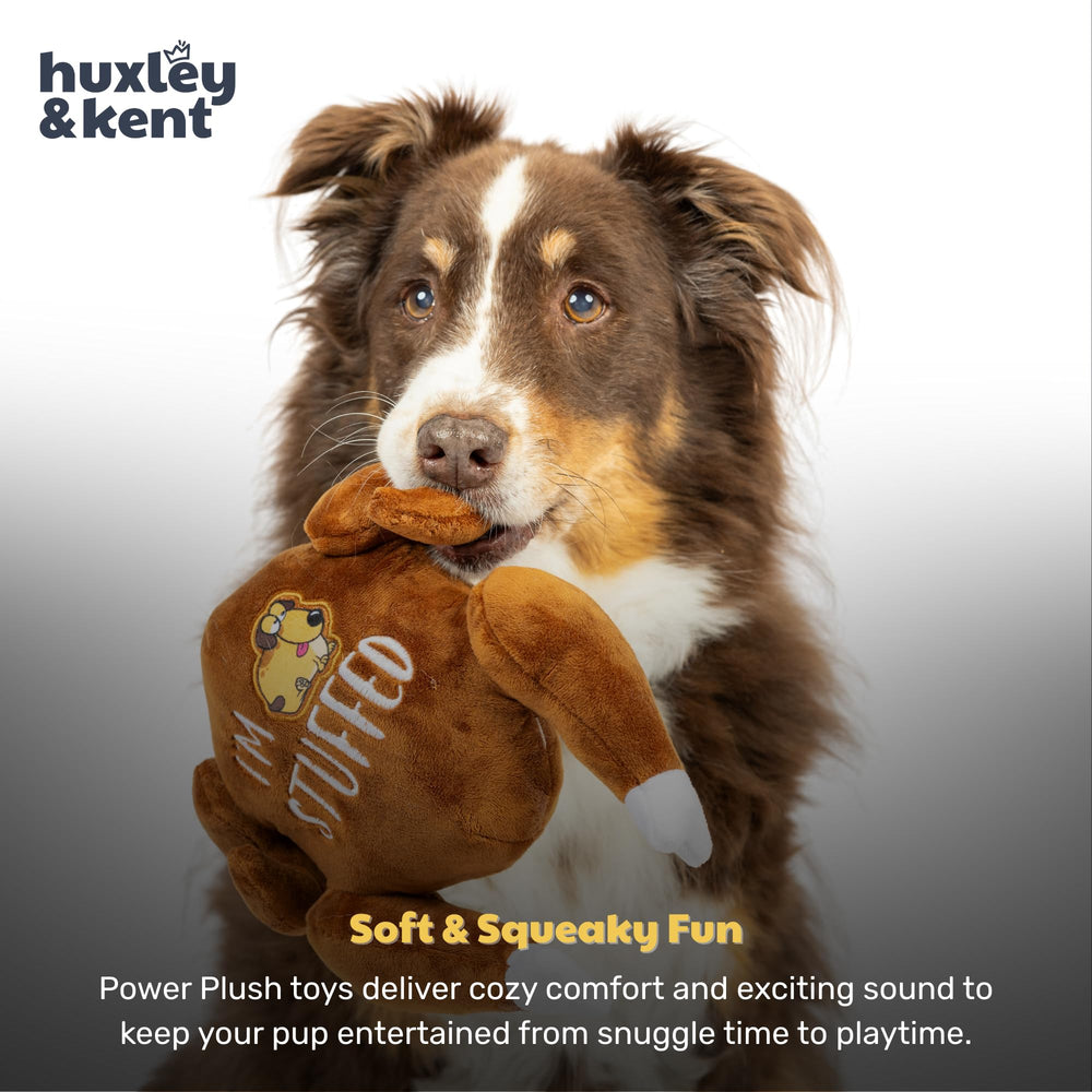 Huxley & Kent machine-washable dog toy for easy cleaning after playful sessions