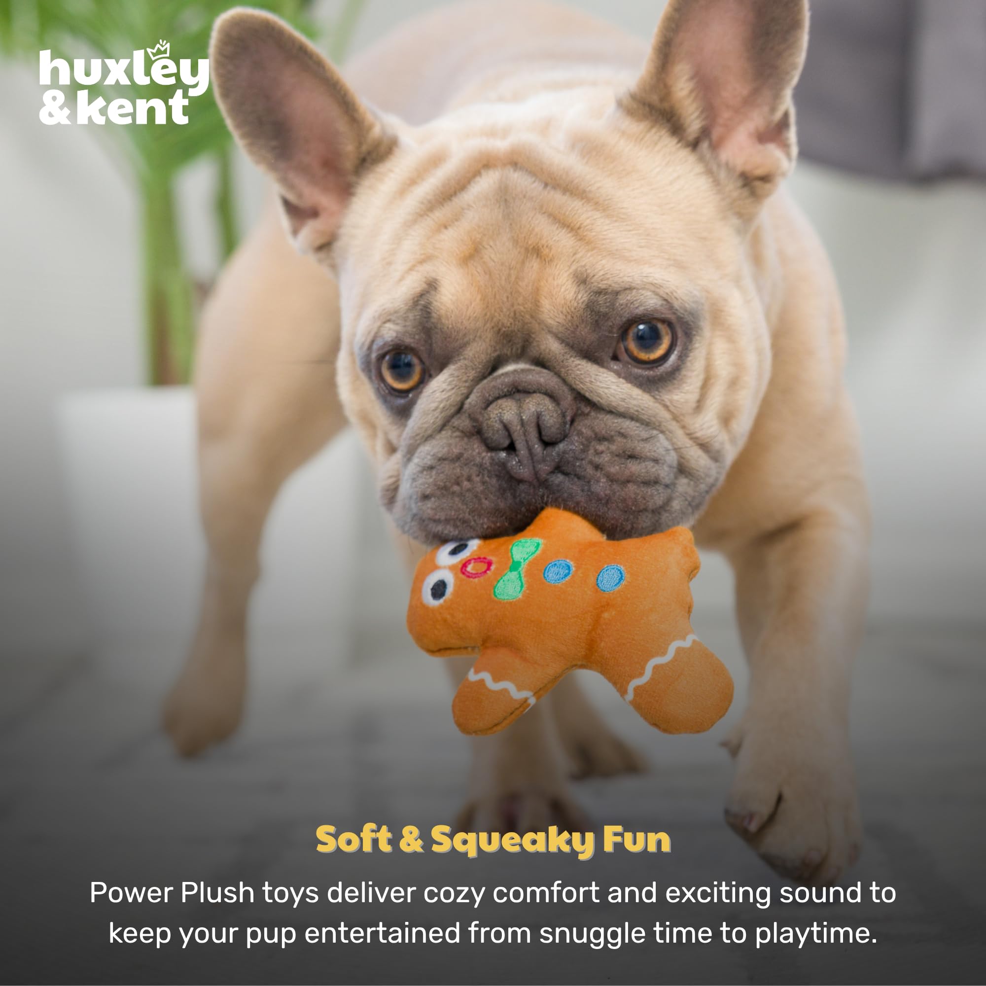 Huxley & Kent machine-washable plush keeps cleanup easy after indoor fetch