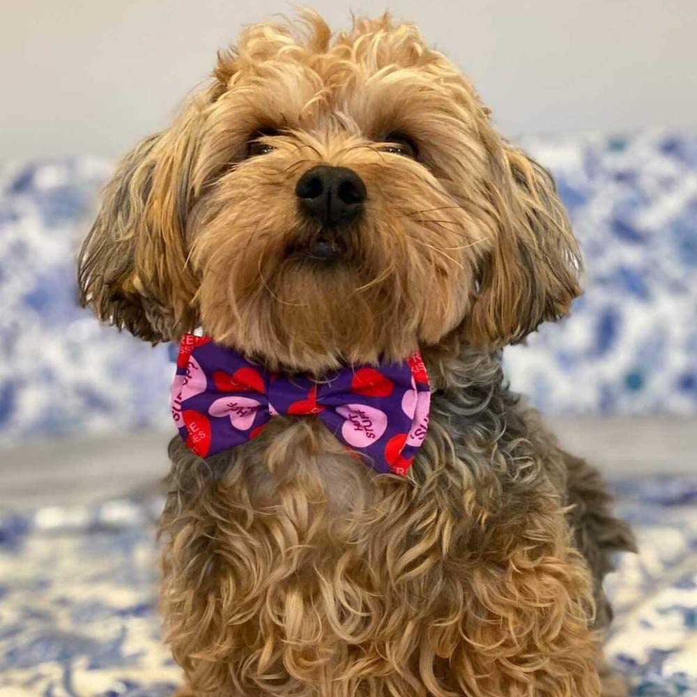 Huxley & Kent bow tie care, machine-washable for easy maintenance.