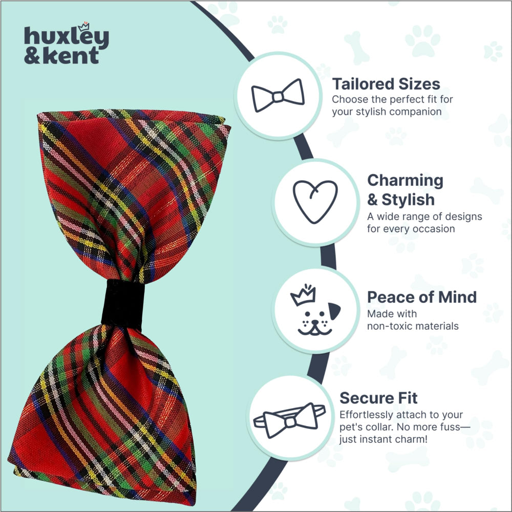 Huxley & Kent large size bow tie on dog ensures proper coverage without bulk.