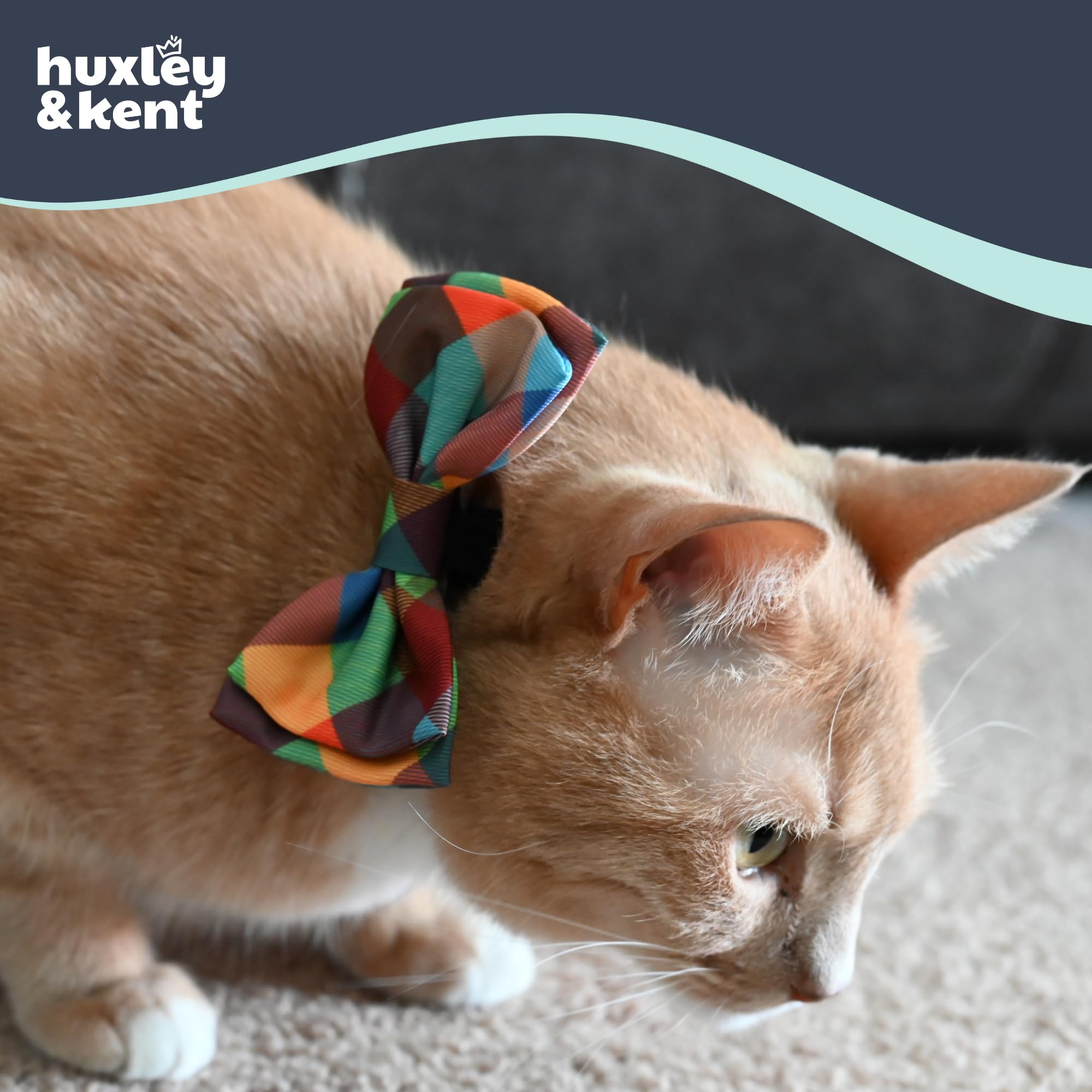 Huxley & Kent soft polyester bow tie feels lightweight and comfortable for pets