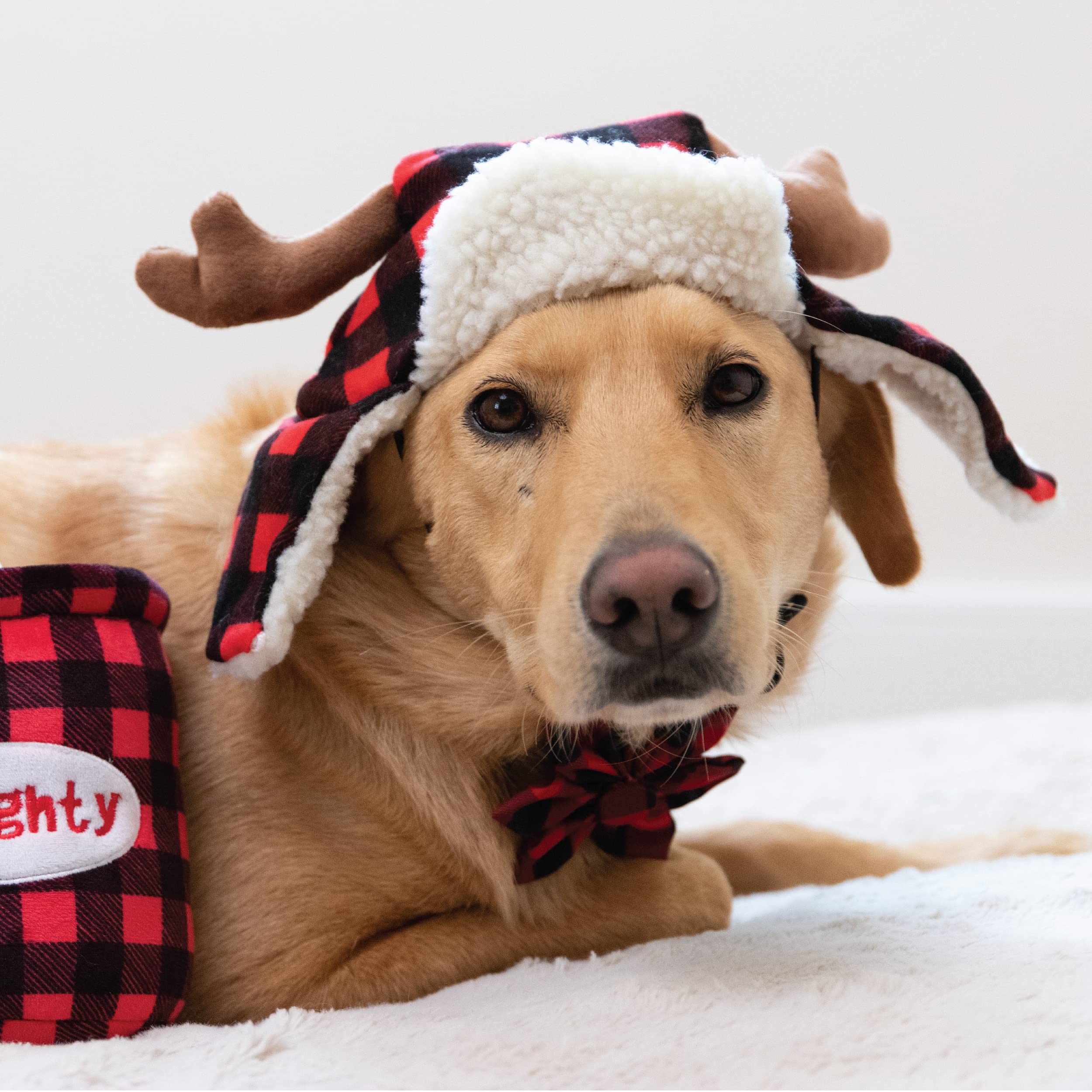 Huxley & Kent Snugfit toggle image demonstrates secure adjustable fit for pets