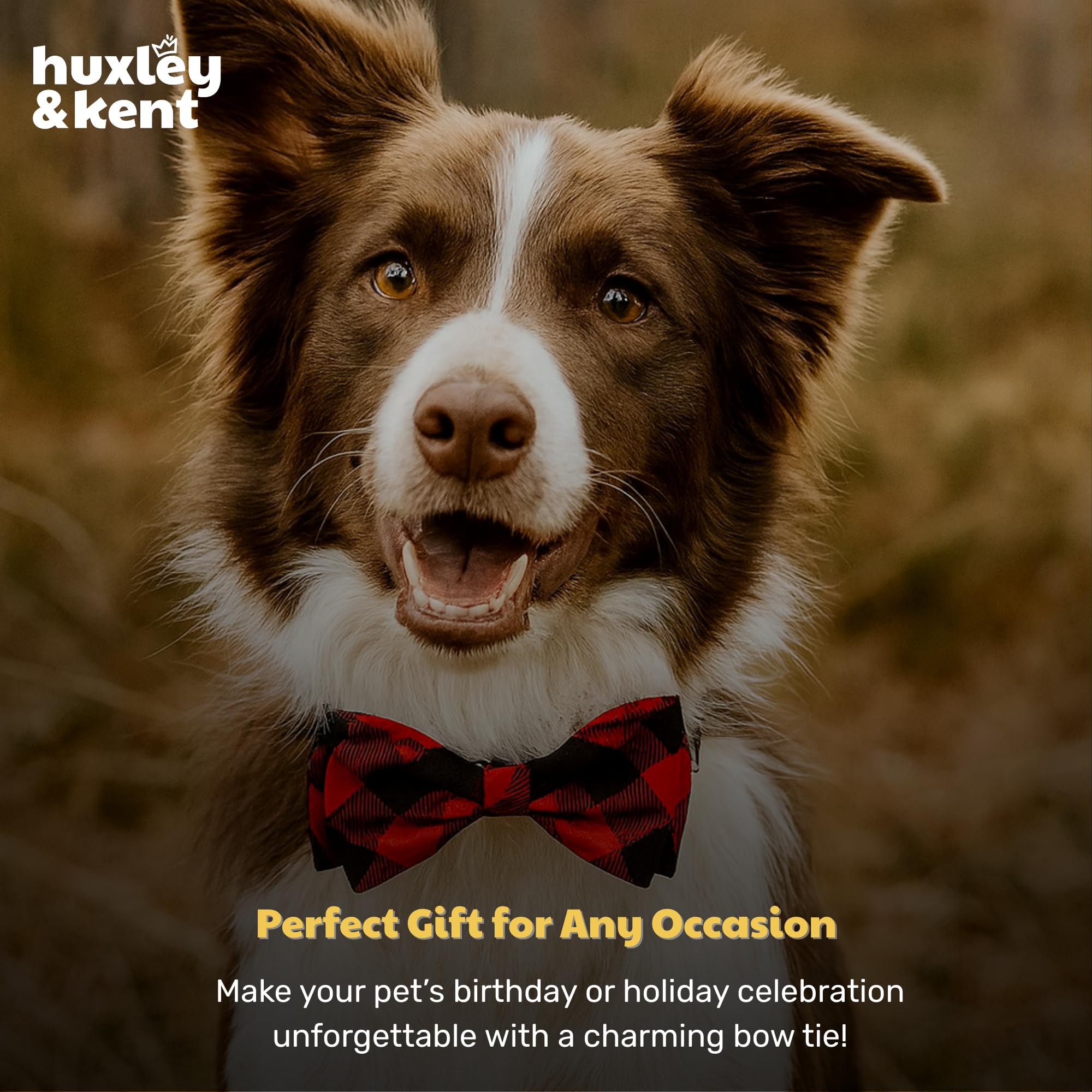 Huxley & Kent Rescue Fund bow tie reflects brand's charitable initiative