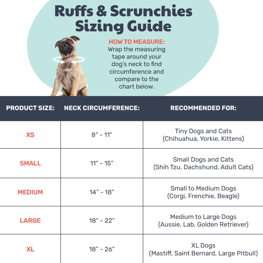 Huxley & Kent Ruff Scrunchy Santa small on pet during walk highlights elastic fit